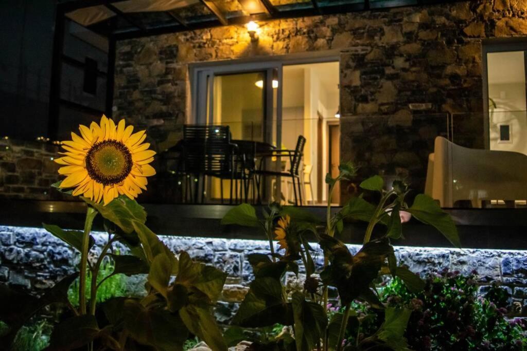 Istron Avra Kalo Chorio (Lasithi) Exterior foto